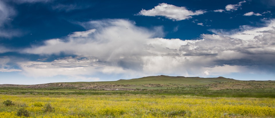 Tales, Trails & 'Tails